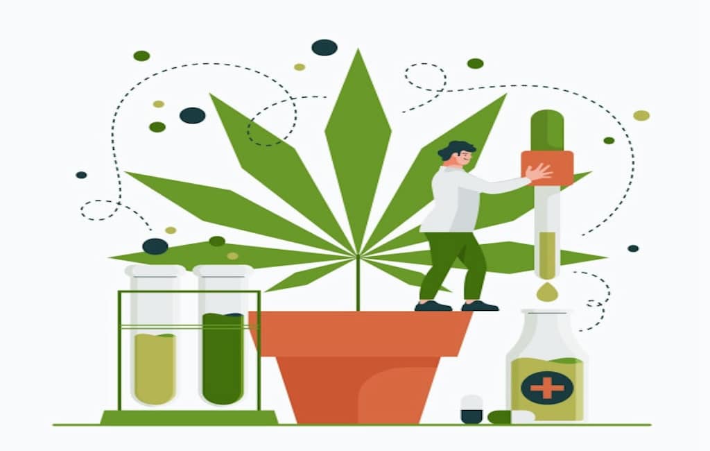 cannabis effects
