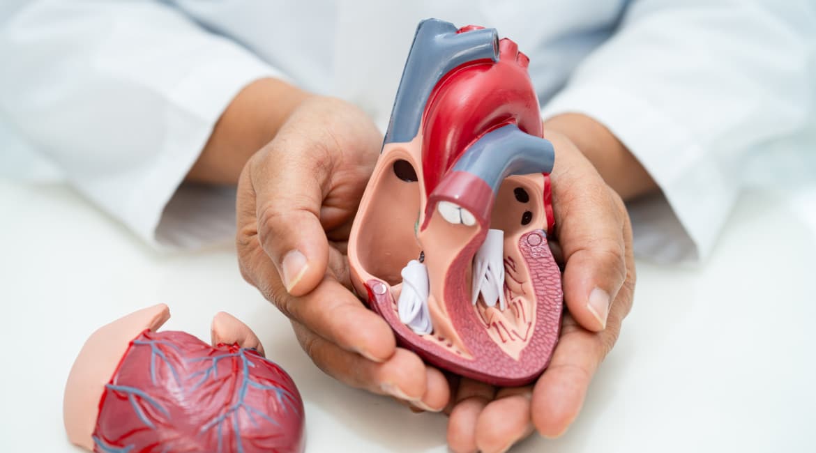 Cardiac Toxicity