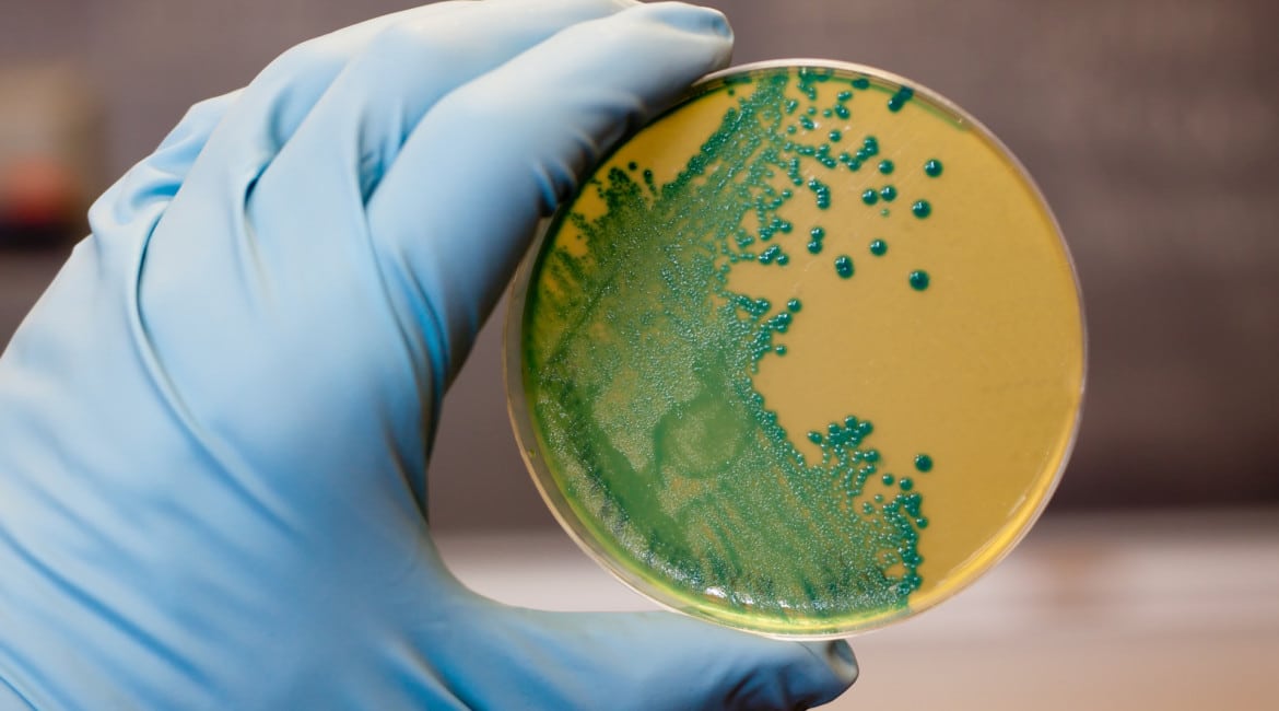 World AMR Awareness Week